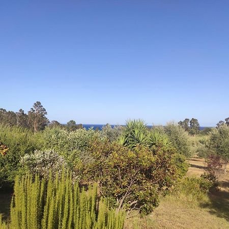 Sa Teria Village - Appartamenti - Tertenìa Extérieur photo