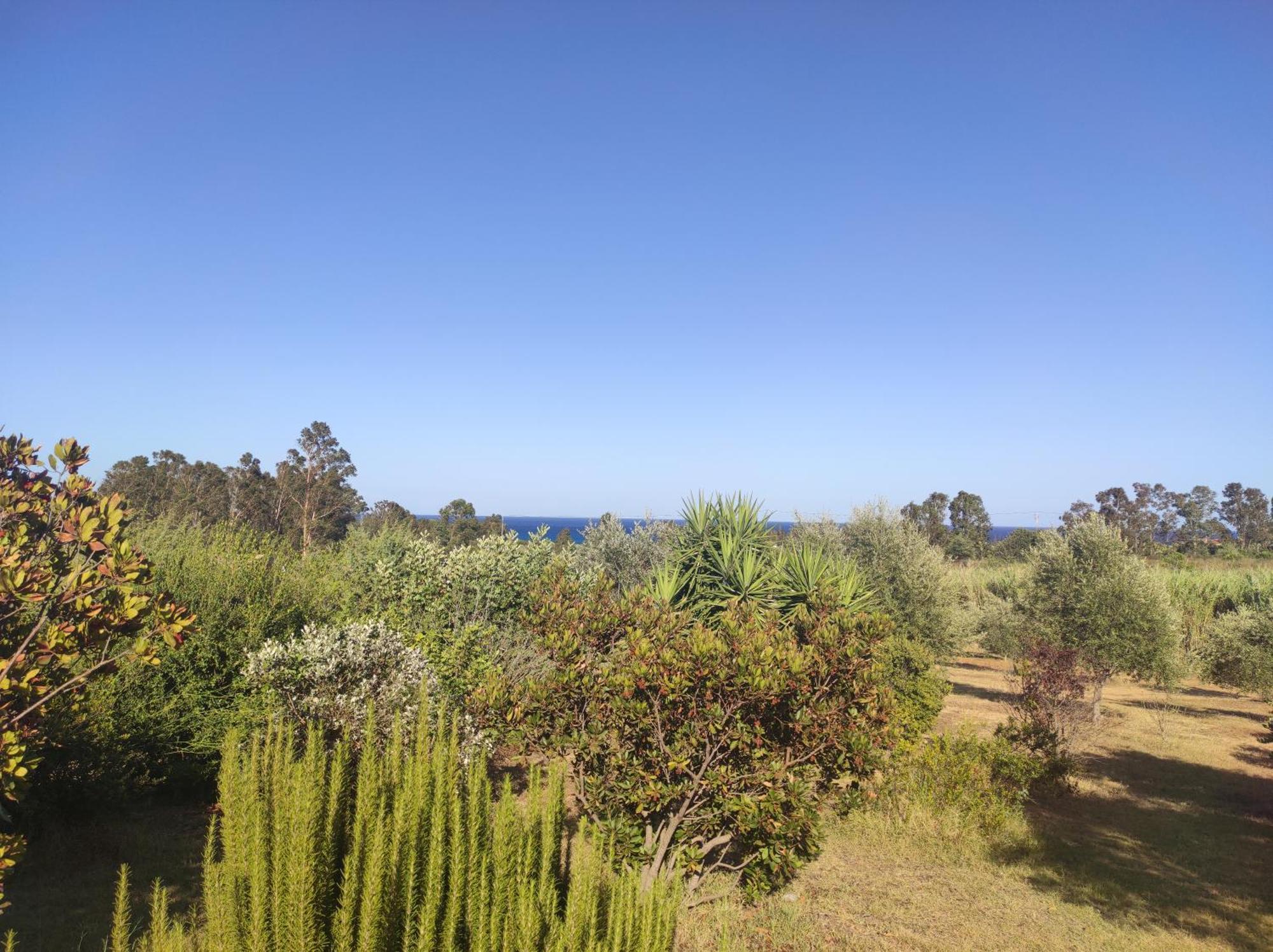 Sa Teria Village - Appartamenti - Tertenìa Extérieur photo