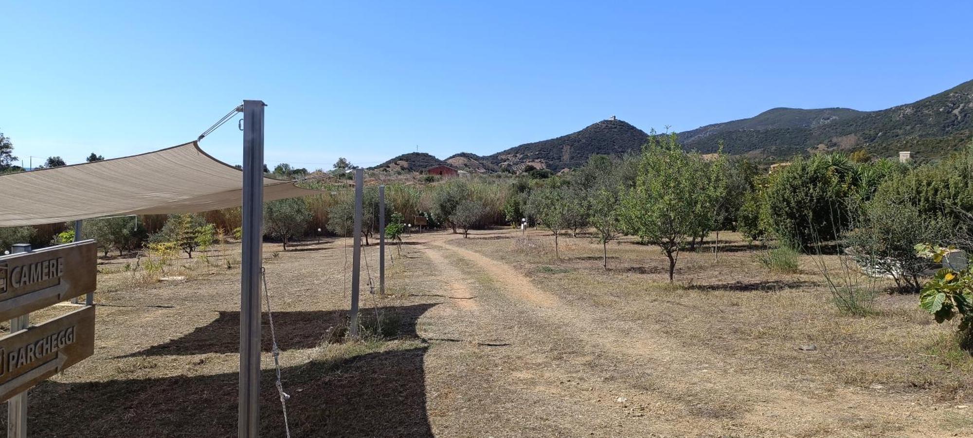 Sa Teria Village - Appartamenti - Tertenìa Extérieur photo
