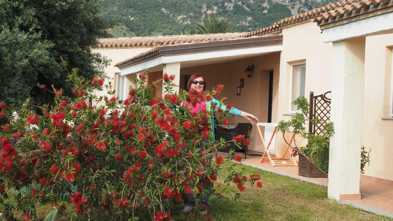 Sa Teria Village - Appartamenti - Tertenìa Extérieur photo